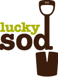 Lucky Sod